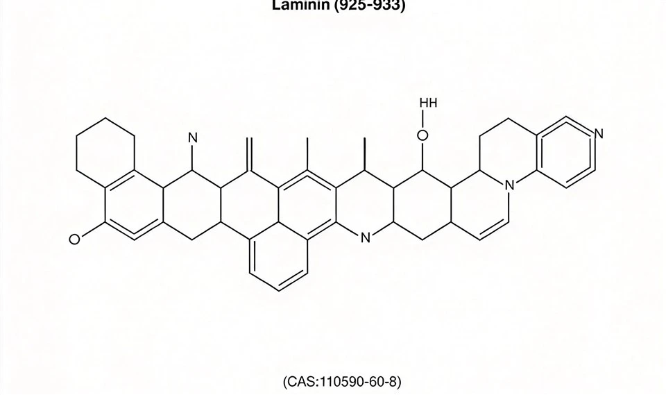 Laminin (925-933)
