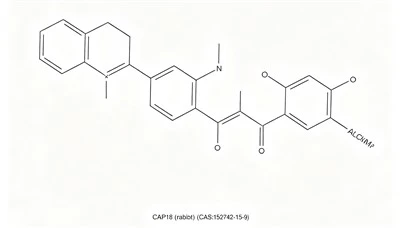 CAP18 (rabbit)