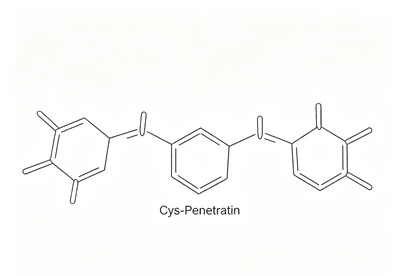 Cys-Penetratin