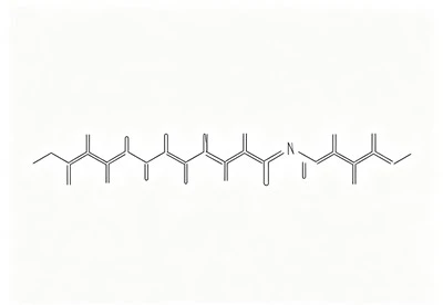 SV40 Large T Antigen NLS